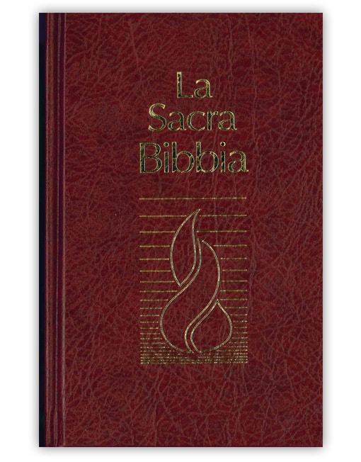 BIBBIA N.R. G1911: Tascabile, rilegata, cm 11x17