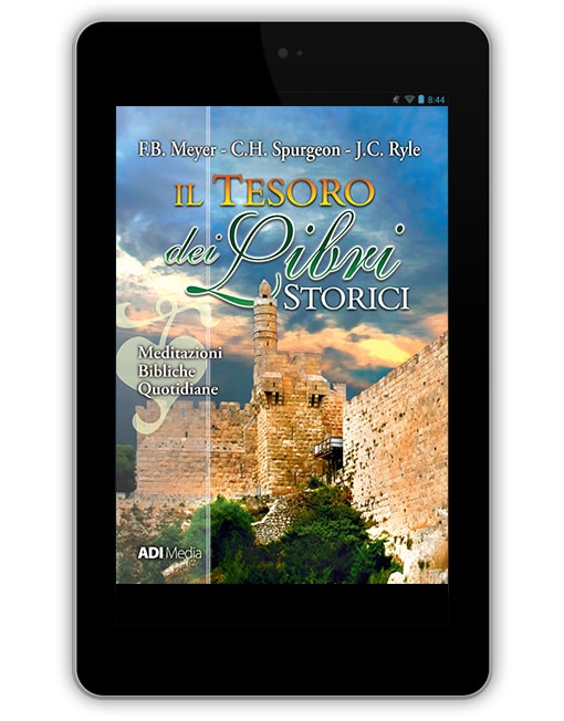 IL TESORO DEI LIBRI STORICI [EBOOK]