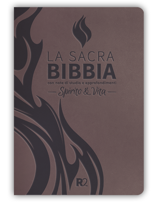 BIBBIA SPIRITO E VITA R2 - Similpelle, arenaria