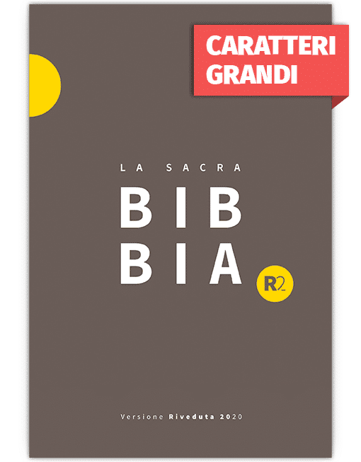 BIBBIA RIVEDUTA 2020 (R2) Grande, Cartonata Rigida Grigio/Giallo